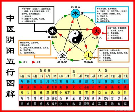 什么克木|一分钟记住，五行相生相克。